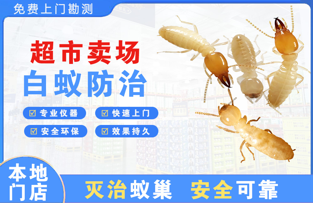 新昌超市卖场白蚁防治