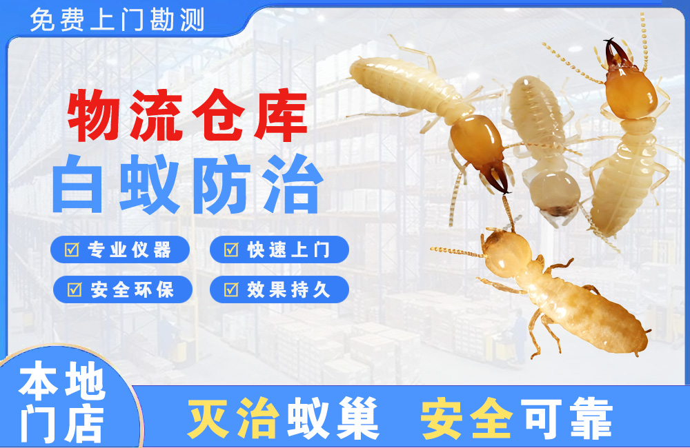 新昌物流仓库白蚁防治
