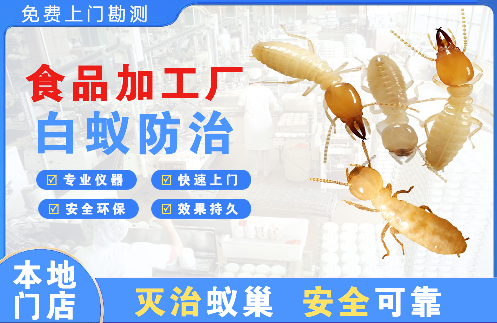 新昌食品加工厂白蚁防治
