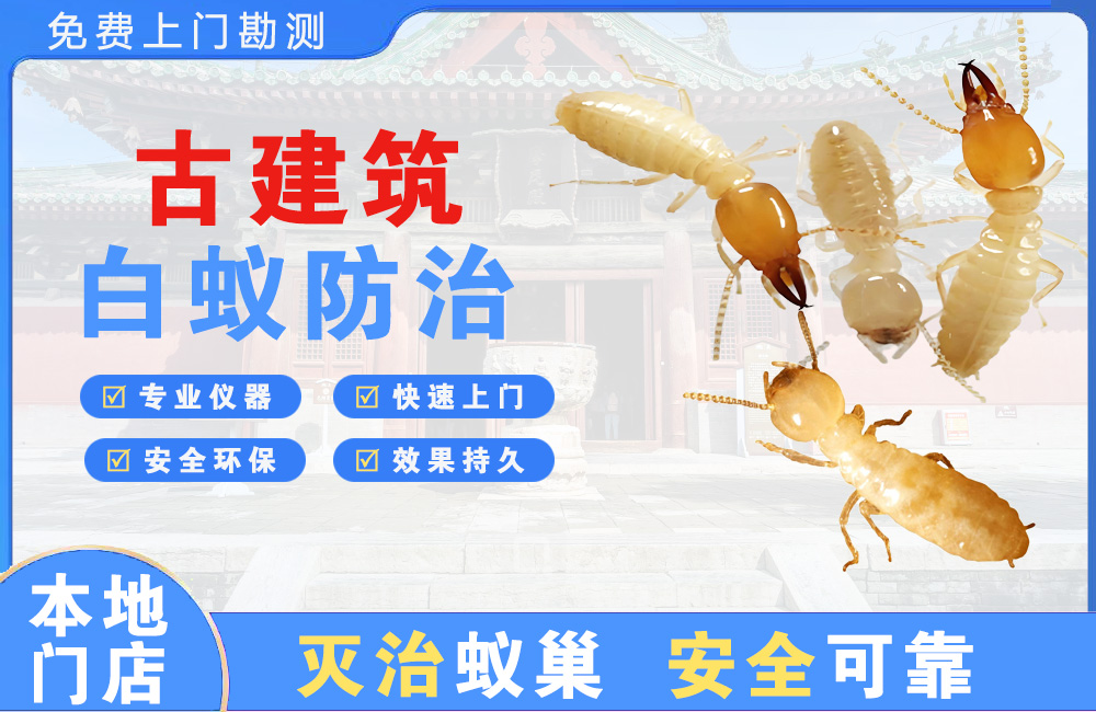 新昌古建筑白蚁防治