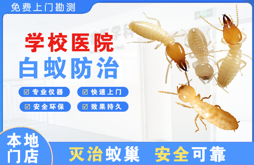 新昌学校医院白蚁防治
