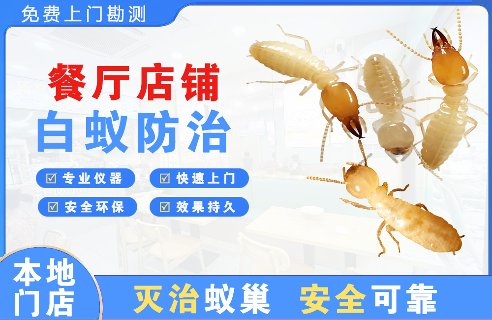 新昌餐厅店铺白蚁防治